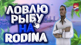 СКОЛЬКО МОЖНО ЗАРАБОТАТЬ на РЫБАЛКЕ ЗА ЧАС?! на РОДИНА РП! ГАЙД ПО РЫБАЛКЕ на RODINA RP | ГТА КРМП