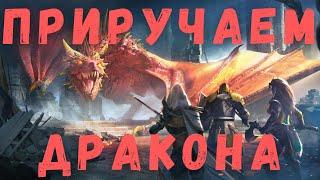 Помогаю ПОДПИСЧИКУ приручить ДРАКОНА! | RAID Shadow Legends