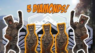 I Found 5 DIAMOND TIGERS The First Day On Sundarpatan!