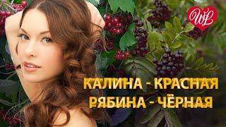 КАЛИНА КРАСНАЯ  РЯБИНА ЧЕРНАЯ  МУЗЫКА ДУШИ WLV  ДУШЕВНЫЙ ХИТ-ДУША ТАНЦУЕТ  RUSSISCHE MUSIK