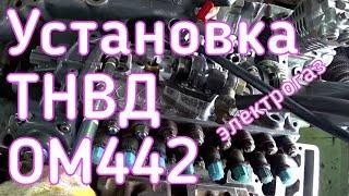 Установка ТНВД ОМ442 электрогаз