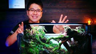 TOKYO AQUASCAPING UNION SHOWCASE - STEVEN CHONG 60P PLANTED TANK BUILD