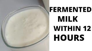 MAKING 5 LITRES FERMENTED MILK WITHIN 12 HOURS FOR SELLING/NO WATER SEPARATION/MAZIWA LALA/MURSIK