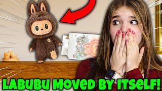Creepy LABUBU Doll Moved By ITSELF At NIGHT! 