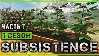 SUBSISTENCE #7  - Строительство Забора - Первый Урожай - 1й Сезон Выживания