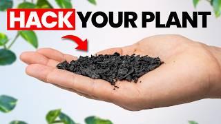 Top 20 Hacks To Make Your Plants THRIVE