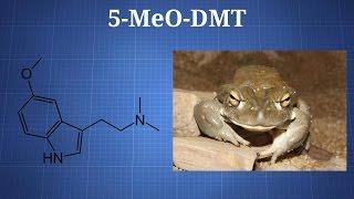 5-MeO-DMT: What You Need To Know