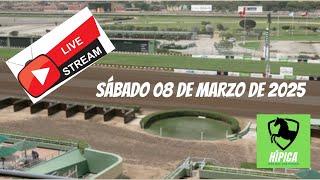  DIRECTO  REUNIÓN DEL SÁBADO 08 DE MARZO DE 2025 - HIPÓDROMO DE MONTERRICO - HMQUP