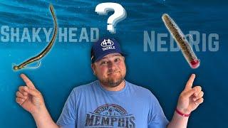 Should YOU Be Fishing A SHAKY HEAD Or A NED RIG Right Now??