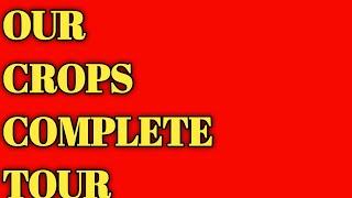 Complete Crop Tour 2022- Raheel Tech
