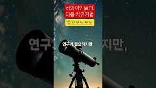 [1분행복]'호오포노포노'#하와이#용서#사랑#정화#shorts