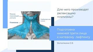 Релаксация платизмы