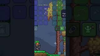 Best Vanity Set For Evry Terraria Player 1