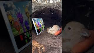 Bunny Watching Sprunki incredibox 3D Version