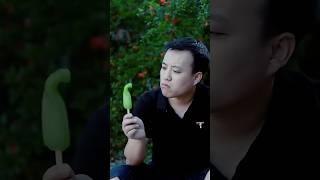 TASTY! THE MOST FUN POPSICLE INCHILDHOOD! | CHINESE FOOD EATING SHOW |FUN MUKBANG ASMR