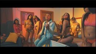 El Baron La Perfeccion - Culpas (Official Video)
