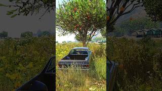 5 Awesome Details in GTA V! (Part 5)