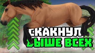 ЧТО ГЛОБАЛЬНОГО ИЗМЕНИЛИ В НОВЫХ ЛОШАДЯХ STAR STABLE