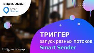 Обзор сервиса Smart Sender. Триггеры с перенаправлением пользователей в любую часть воронки.