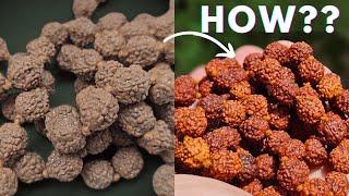 How to Clean Rudraksha Mala With Simple Process!