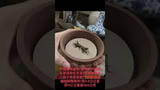 #購買時建議由第三方價金托管杜絕詐騙，蝦皮拍賣https://shopee.tw/shop/18305516雅虎拍賣https://tw.bid.yahoo.com/booth/Y9881843058