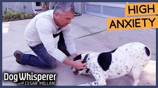 Cesar Millan Breaks Dog's Obsessive Behavior! | Dog Whisperer