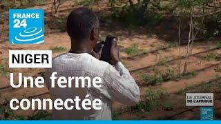 Niger : une ferme connectée pour limiter le gaspillage de l'eau • FRANCE 24