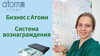 Маркетинг Атоми. Система вознаграждения. Сколько можно заработать с Атоми.