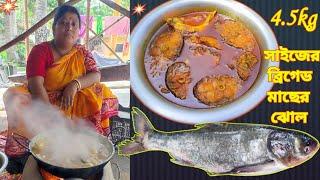 4.5 kg ওয়েটের ব্রিগেড মাছের ঝোল রেসিপি Village style big size fish cutting and cooking।।fish curry