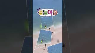 6월 가볼만한 경남 여행지 통영 만지도 연대도 #1박3식섬 #6시내고향 #경남투어 #아름다운섬 #맛집 #국내여행 #여행 #통영 #바다 #꽃날 #travel #kfood #국내여행