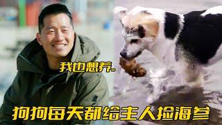 狗狗為報答主人，每天送他兩個大海參，訓犬師看後：借我養幾天