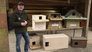 How to Choose the Best Barn Owl Nestbox Design