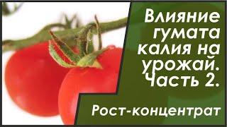 Влияние гумата калия на урожай (2011, Рост концентрат, часть 2, отзывы клиентов)