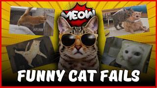 The Funniest Cat Fails Ever | Cat Fails | WidoFails