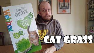 Cat Grass