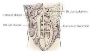 Vocal Pedagogy Part 1