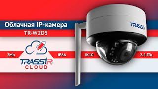 Облачная антивандальная IP-камера TRASSIR TR-W2D5