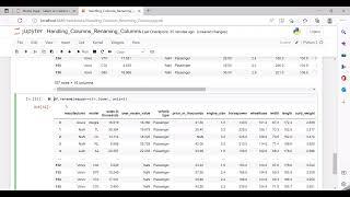 Data Manipulation: Handling the dataframe column names in Pandas | Renaming the column names