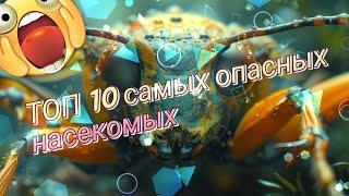 ТОП 10 Самых Опасных НАСЕКОМЫХ на Земле !