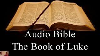 The Book of Luke - NIV Audio Holy Bible - High Quality and Best Speed - Book 42 - The Two Preachers