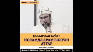 Мусулмандарга арам болгон аттарды койуу 