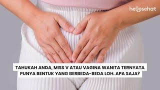 Bentuk Vagina Tiap Wanita Ternyata Bervariasi. Apa Saja?