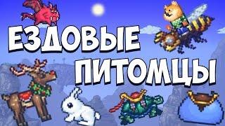 ВСЕ ЕЗДОВЫЕ ПИТОМЦЫ // TERRARIA 1.2.4 ANDROID - IOS