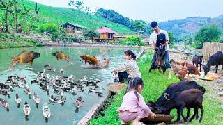 Become a MILLIONAIRE FARMER by 2025 with Gardening and Animals!