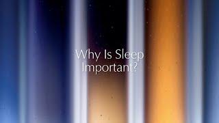 Why is Sleep Important? | Dr. Matthew Walker & Estée Lauder