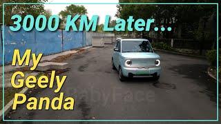 My Geely Panda Mini EV ... 3000 km later  #chinese #ev #car