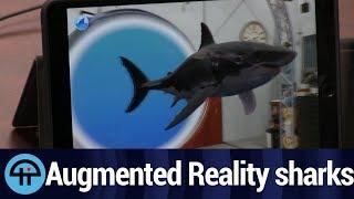 Review: ShARk from Curiscope
