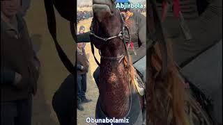#abjirbola #kopkari #rek #horse #sports