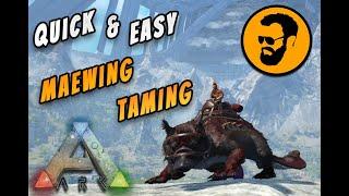 Quick And Easy Maewing Taming Ark