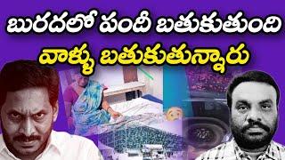 బురదలో పందీ బతుకుతుంది | AP POLITICS | BCR TALKS |